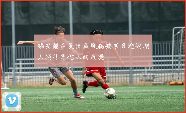锡安能否复出成疑鹈鹕明日迎战湖人期待华佗队的表现