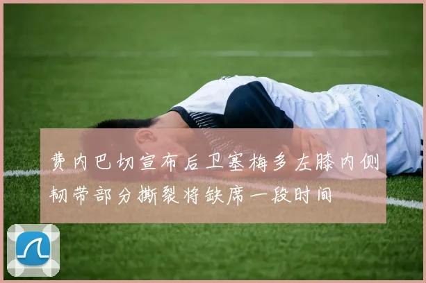 费内巴切宣布后卫塞梅多左膝内侧韧带部分撕裂将缺席一段时间